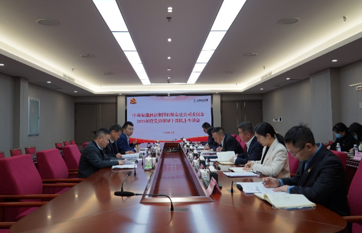Z6人生就是博集团党委书记、董事长任丁出席安逸酒店集团2022年度党员领导干部民主生活会